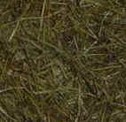 foin