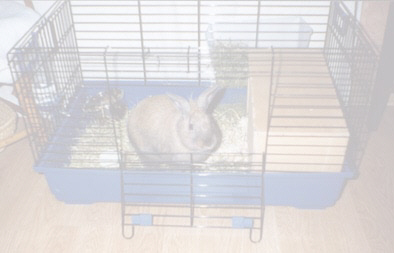 Ma maison