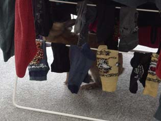 Pan_chaussettes