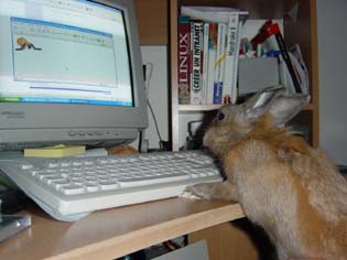 Panpan webmaster
