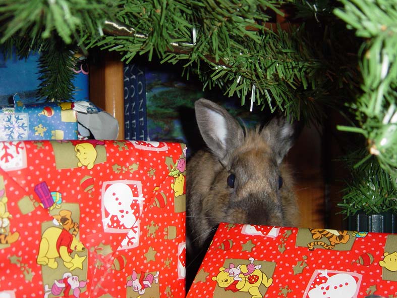panpan cadeau