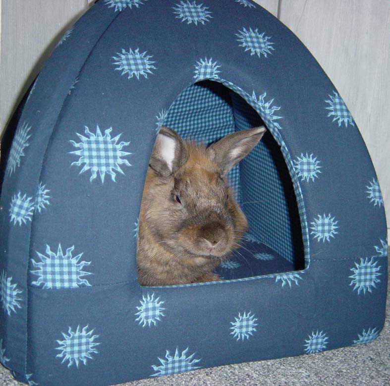 Panpan_panier_bleu