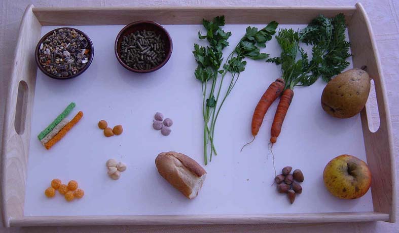 Aliments