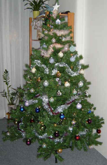 sapin